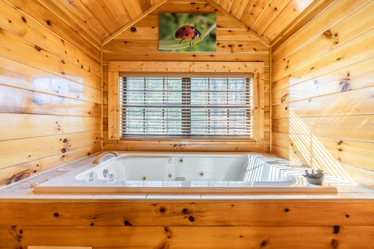 Comfort Cabin Bearway To Heaven W Private Hot Tub 鸽子谷 外观 照片